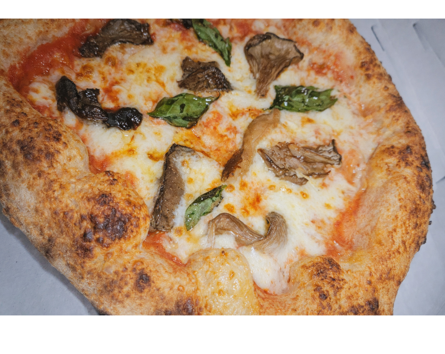 Pizza Fungi - Authentic Neapolitan pizza